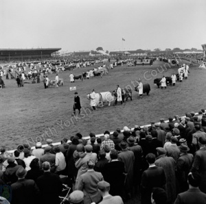 Great Yorkshire Show, 1965